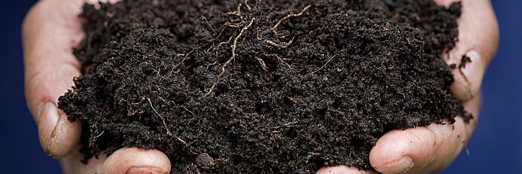 What are the benefits of humic substances for soil and plants? - What are the benefits of humic substances for plants?
