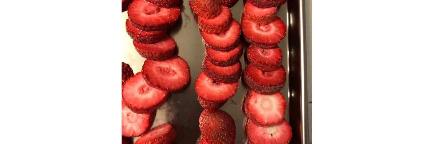 gefriergetrocknete erdbeeren